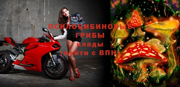 спиды Волосово
