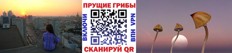 Галлюциногенные грибы MAGIC MUSHROOMS ОМГ ОМГ ссылка Плавск закладки